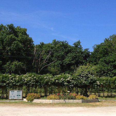 Motel Des Bruyeres Lamotte-Beuvron Exterior foto