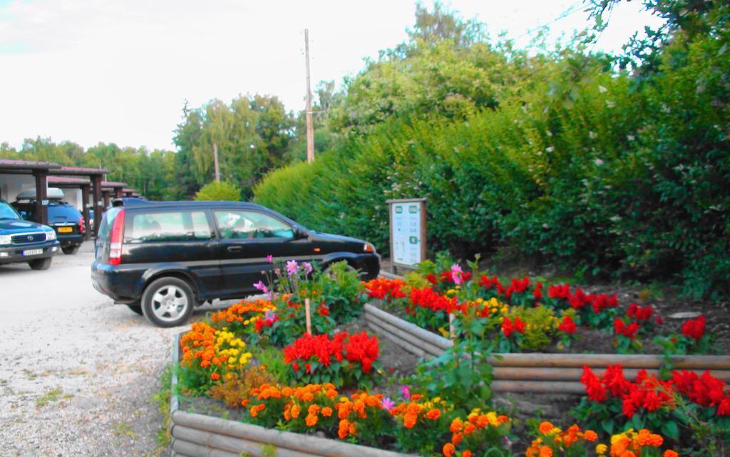 Motel Des Bruyeres Lamotte-Beuvron Quarto foto